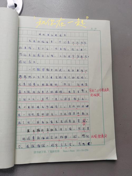 600字初中作文带评语