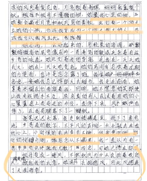 描写高雅情趣的初中作文