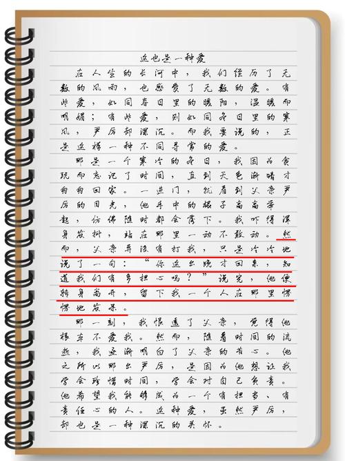 也是爱作文500字初中