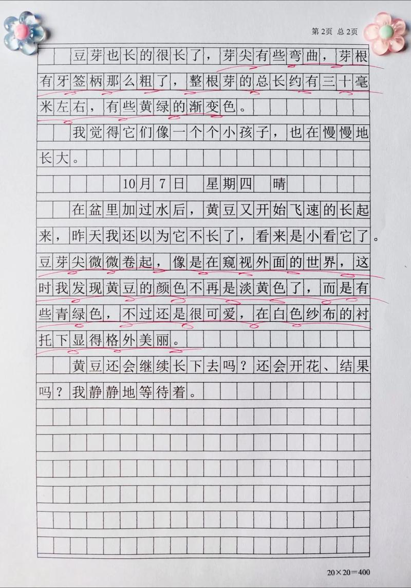 小学四年级日记400字
