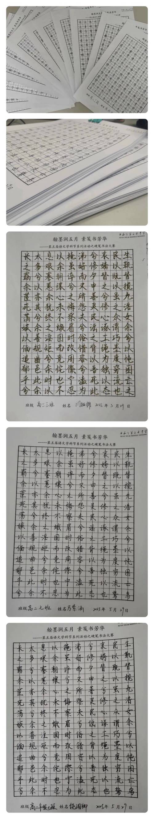 书法的趣味初中600字