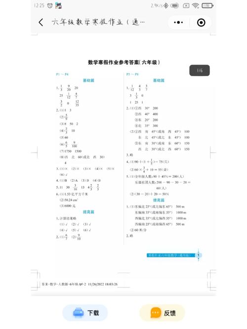 小学六年级寒假作业答案