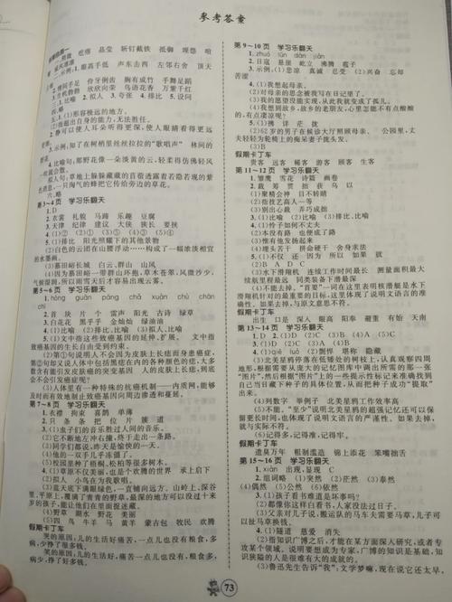 小学六年级寒假作业答案