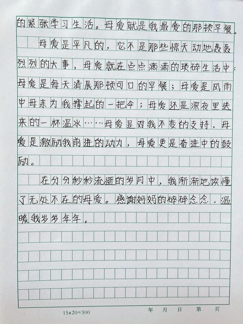 陪妈妈过节800字初中
