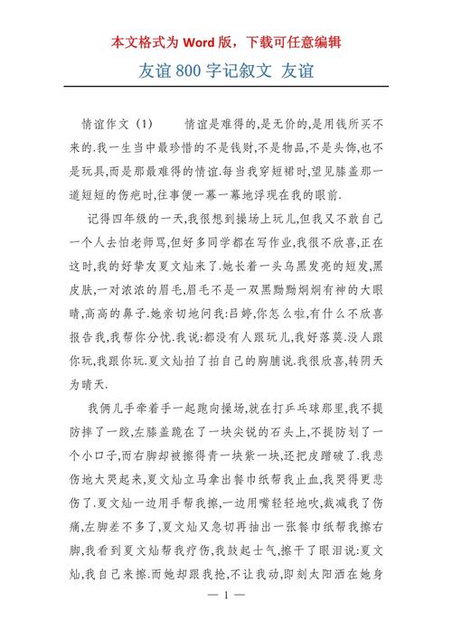 友爱的作文800字初中