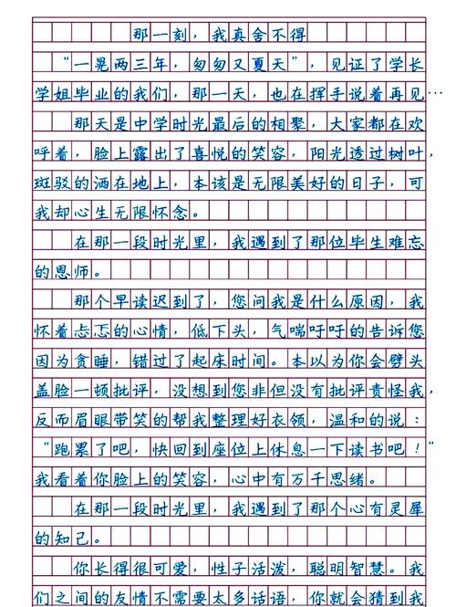 感恩的作文400字初中