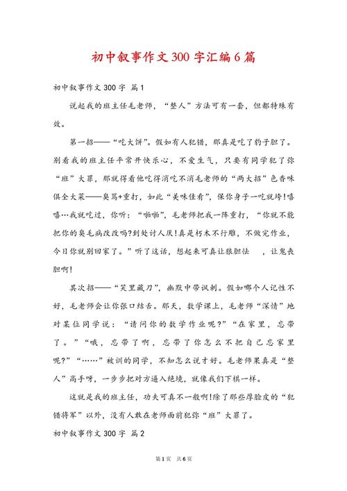 初中那些事300字作文