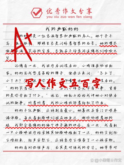 写人作文初中优秀500
