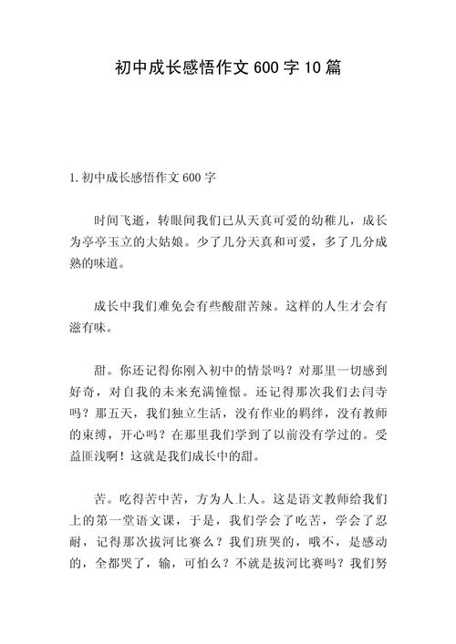 初中的感受作文600字