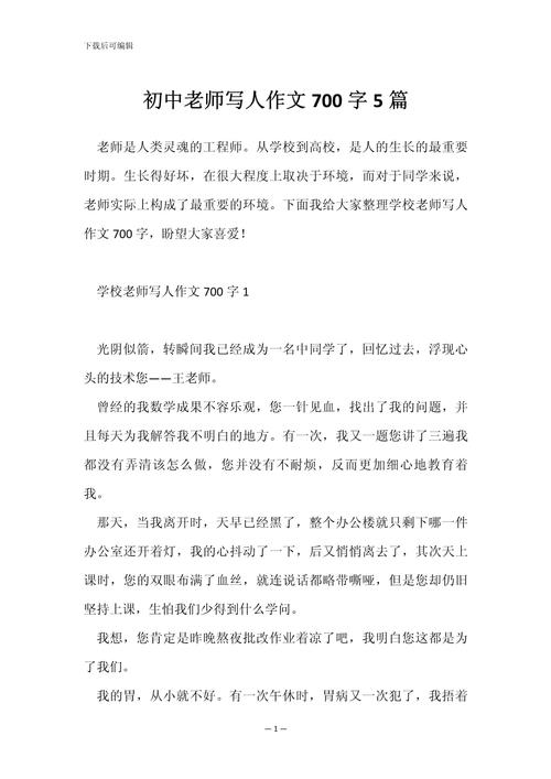 特别的老师700字初中