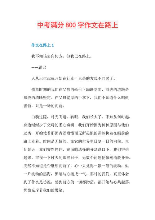 初中作文在路上800字