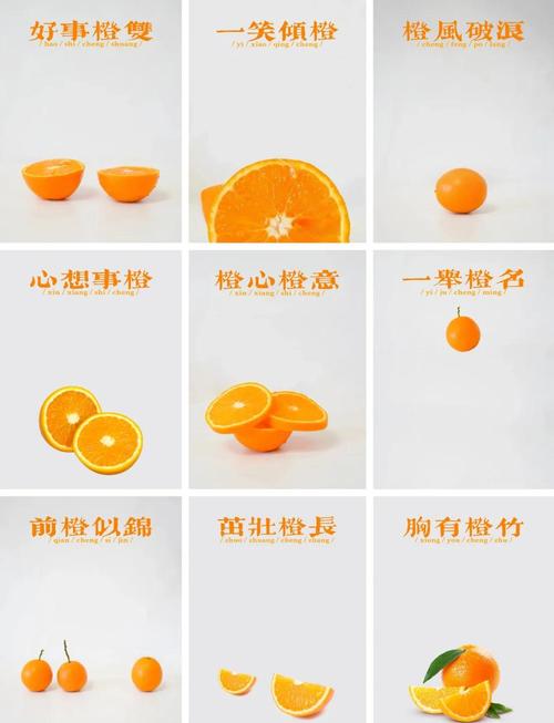 好吃的桔子 早教方案