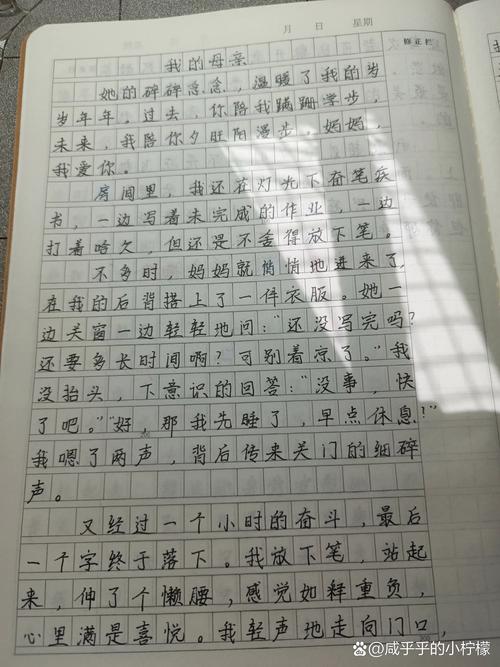 初中优秀作文母亲二三事