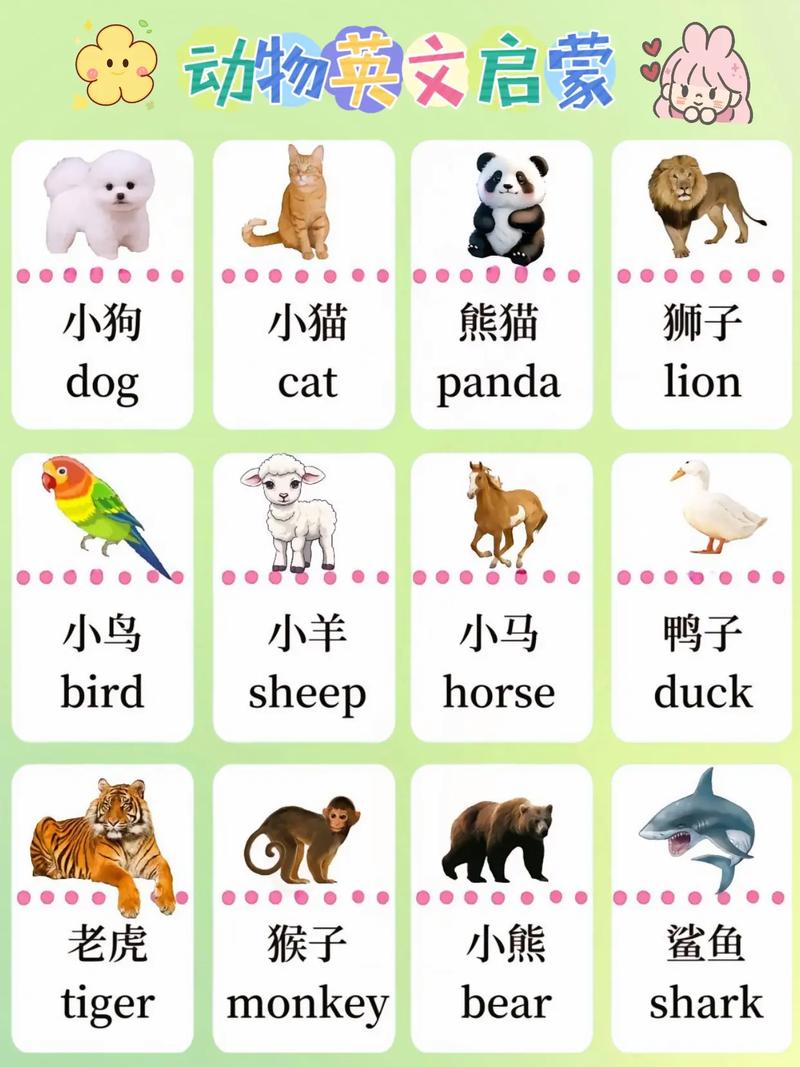 幼儿园 早教英语