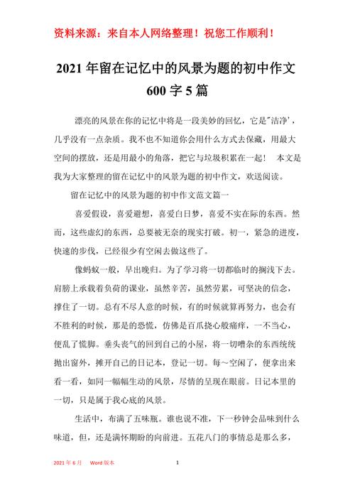 美丽的记忆600字初中