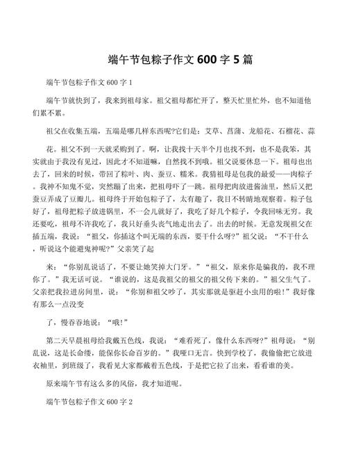 初中作文包粽子700字