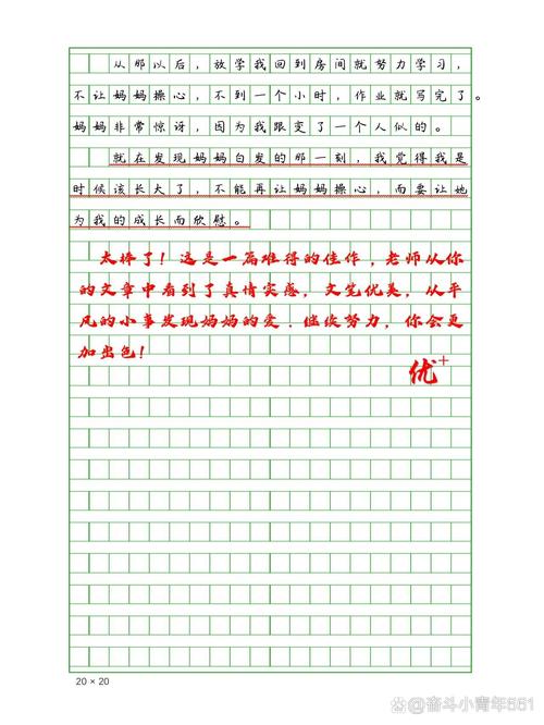 妈妈的白发600字初中