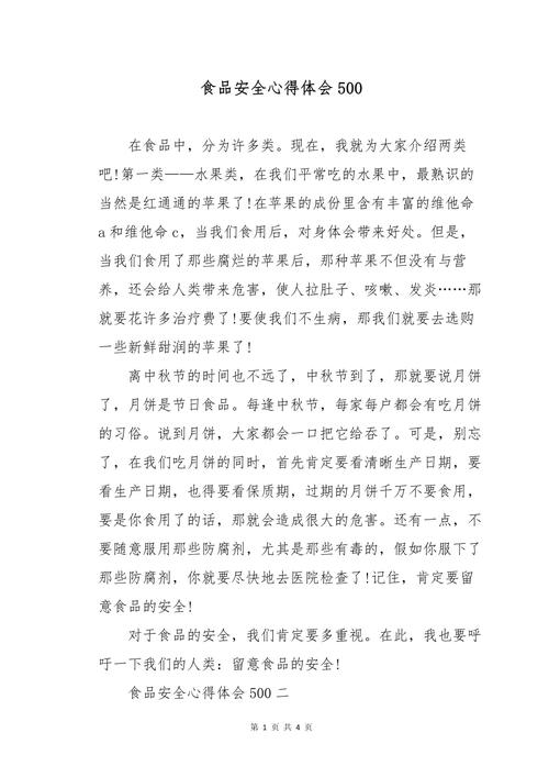 食品安全作文500初中