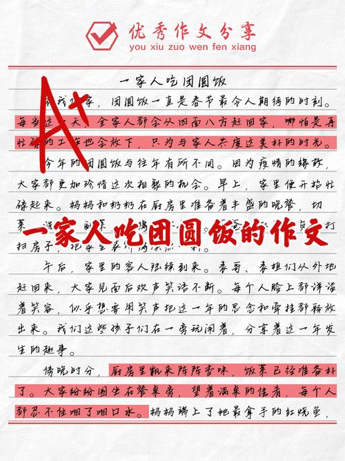 团圆作文600字初中篇