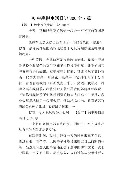 我的初中寒假生活300