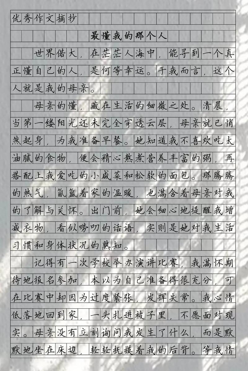 那个懂 我的人初中作文