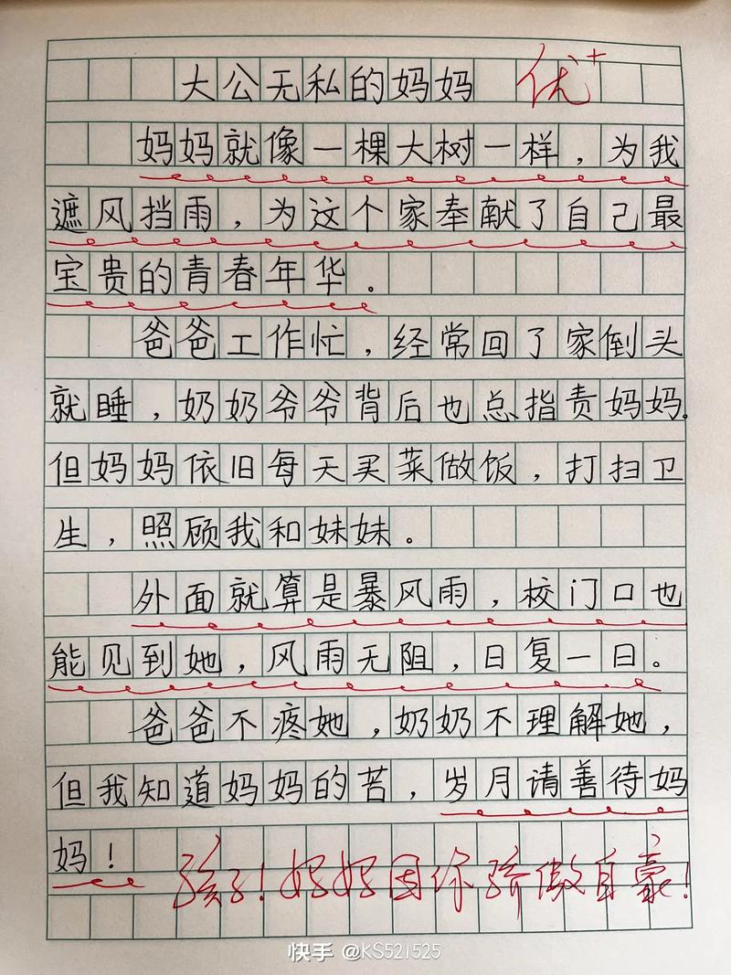 伞作文600字初中作文