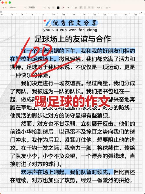 足球比赛作文初中600