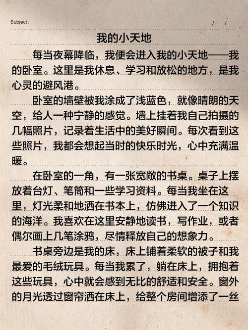 初中作文《我的小天地》