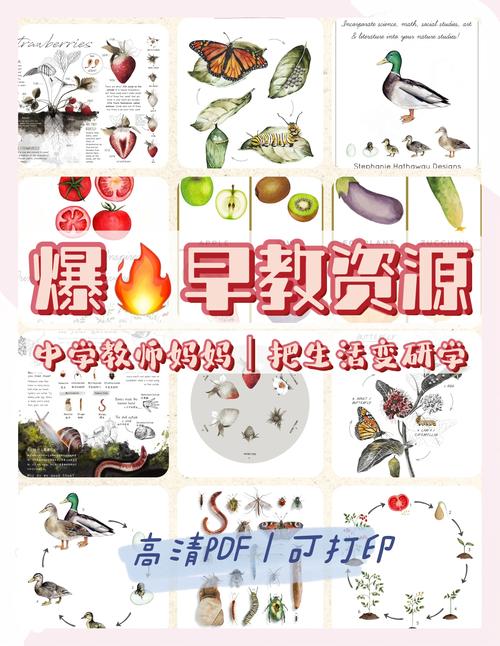 电子早教资源怎么打印