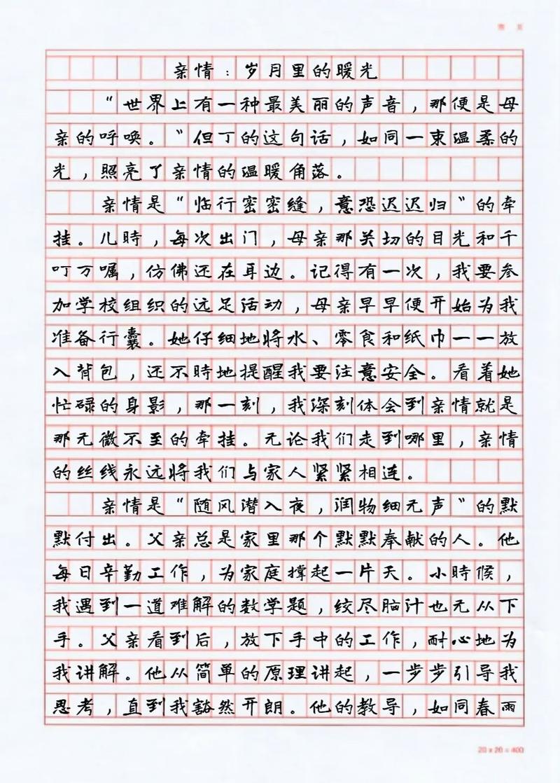 体现亲情的作文初中作文