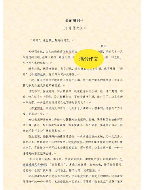 体现亲情的作文初中作文