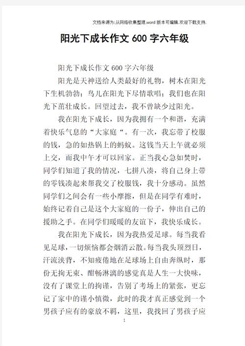 初中作文 阳光下的我们