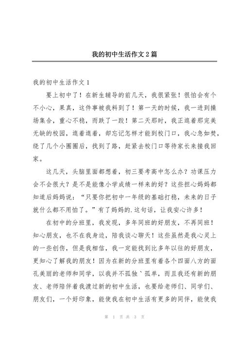 步入初中的我作文500