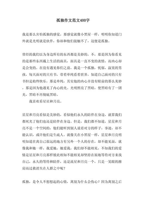 孤独中的理解 初中作文