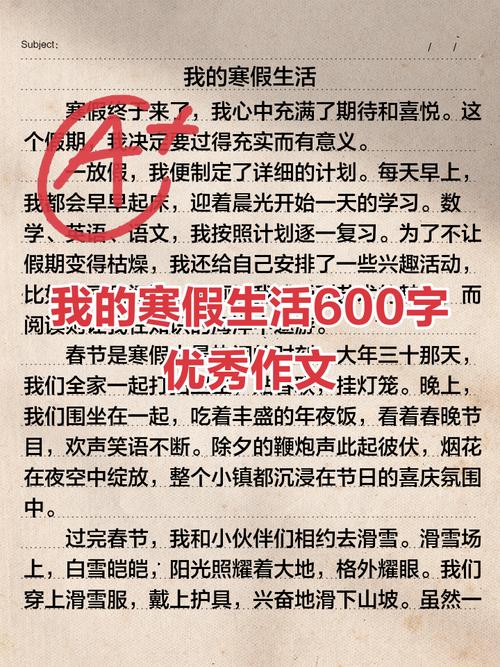 寒假事作文600字初中