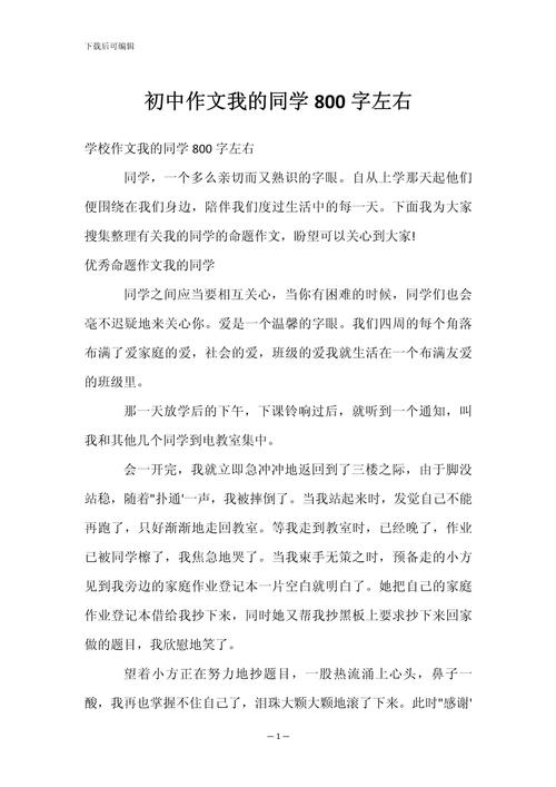 写初中同学作文800字