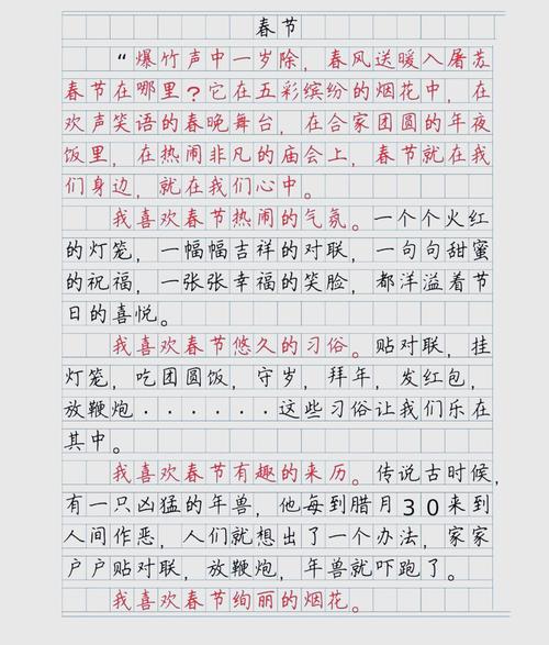 特殊的春节作文初中作文