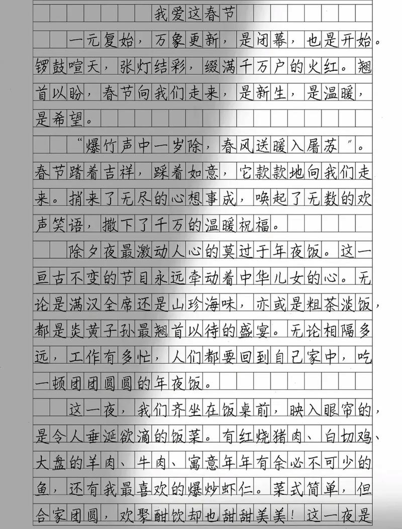 特殊的春节作文初中作文