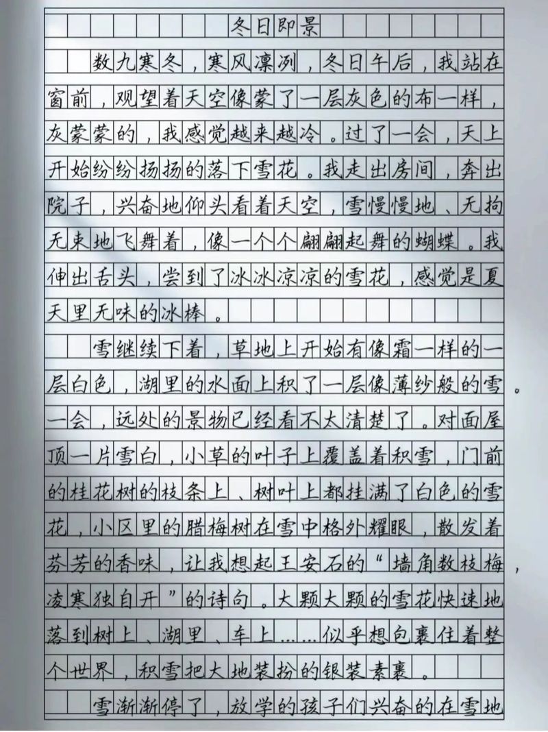 雪写景作文600字初中