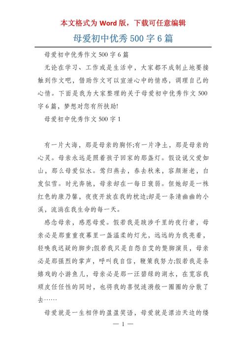 我和我的母亲500初中