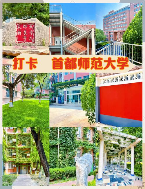 首都师范大学 小学教育