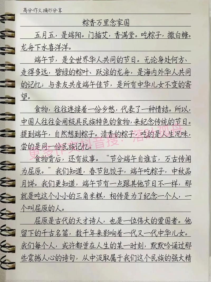 初中阅读端午节(节选)