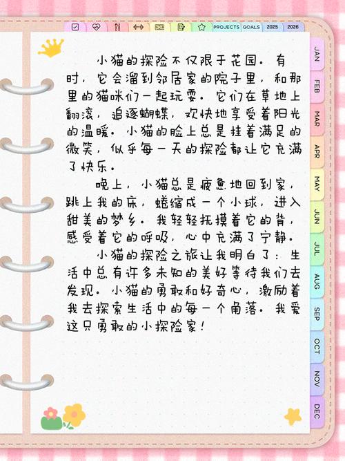 作文猫500字作文初中