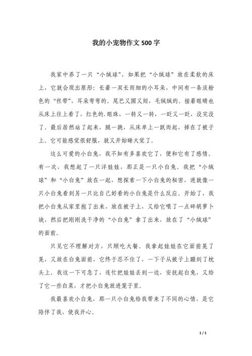 写宠物作文500字初中