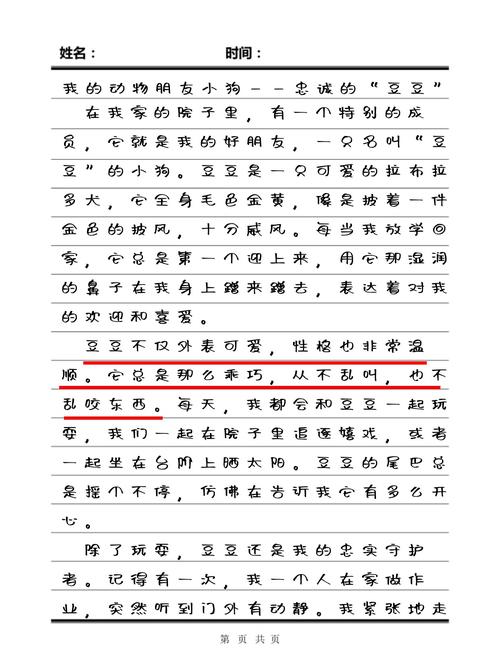 写宠物作文500字初中