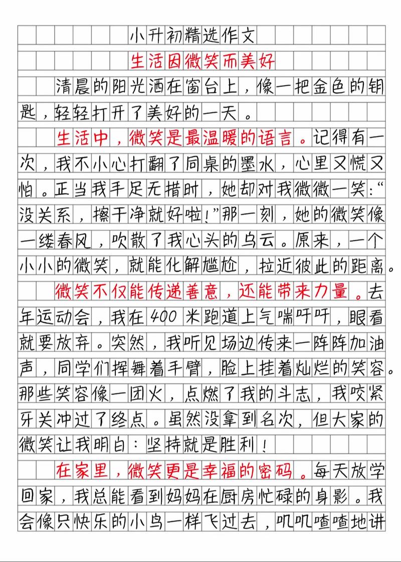 小学升初中感受500字