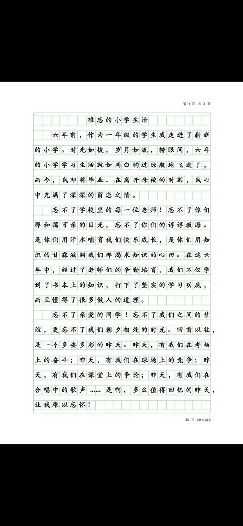 小学升初中感受500字