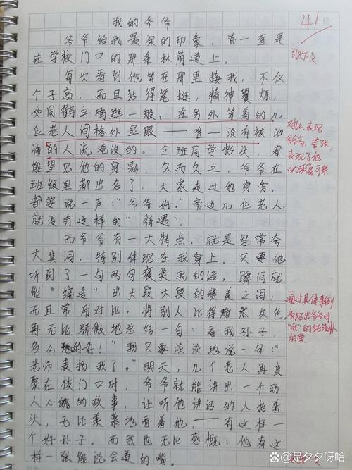 爷爷的趣事初中800字