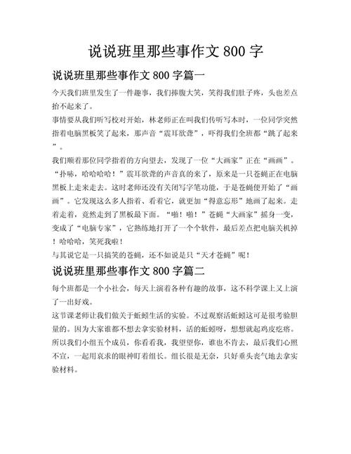班里那点事800字初中