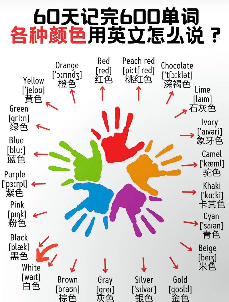 幼儿早教英语颜色单词